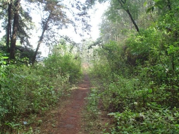 The Pan American cross country course for 2010.