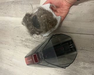 Image of Dirt Devil vacuum during cleaning process