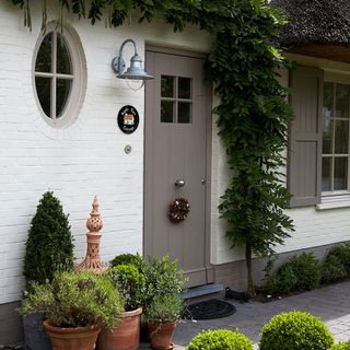 house entrance with potted plants and grey door