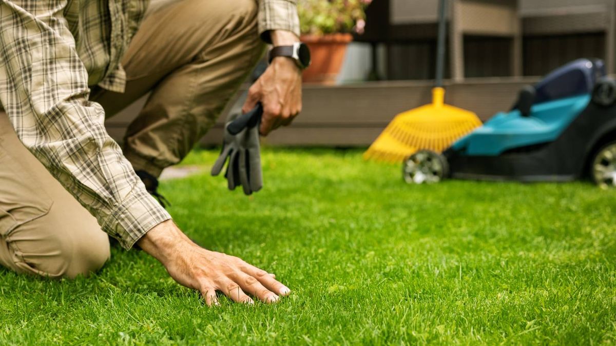 5 Things You Can Do in June to Prepare Your Lawn for the Summer Heat – Plus 5 Things You Definitely Shouldn't Do