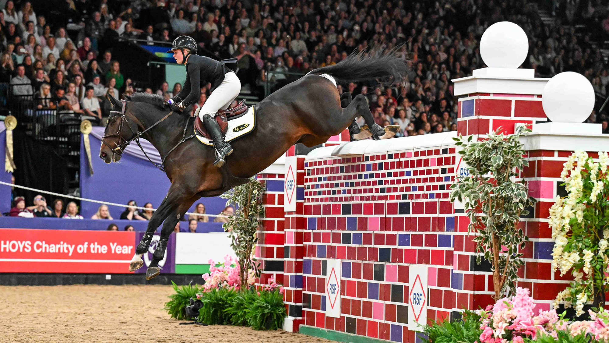 Rachel Proudley clearing puissance wall on bay horse at HOYS