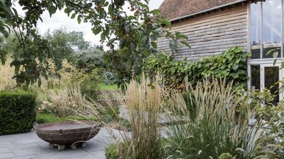 Fall garden filled with ornamental grasses