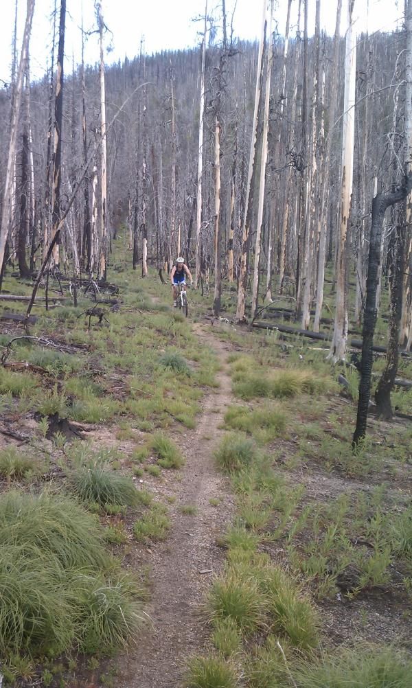 Missoula XC promoter Shaun Radley ripping trail!