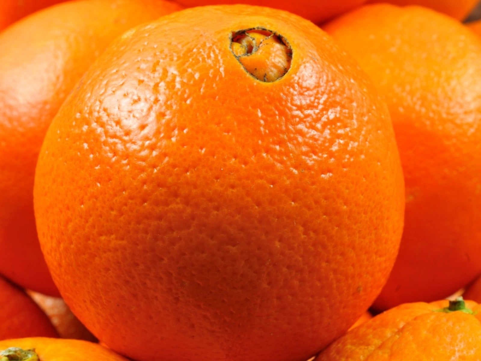 Fresh Extra Large Navel Orange
