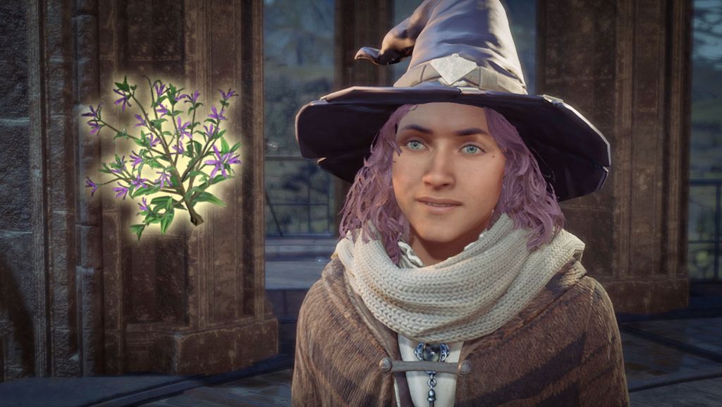 How to get Fluxweed Stem in Hogwarts Legacy Windows Central