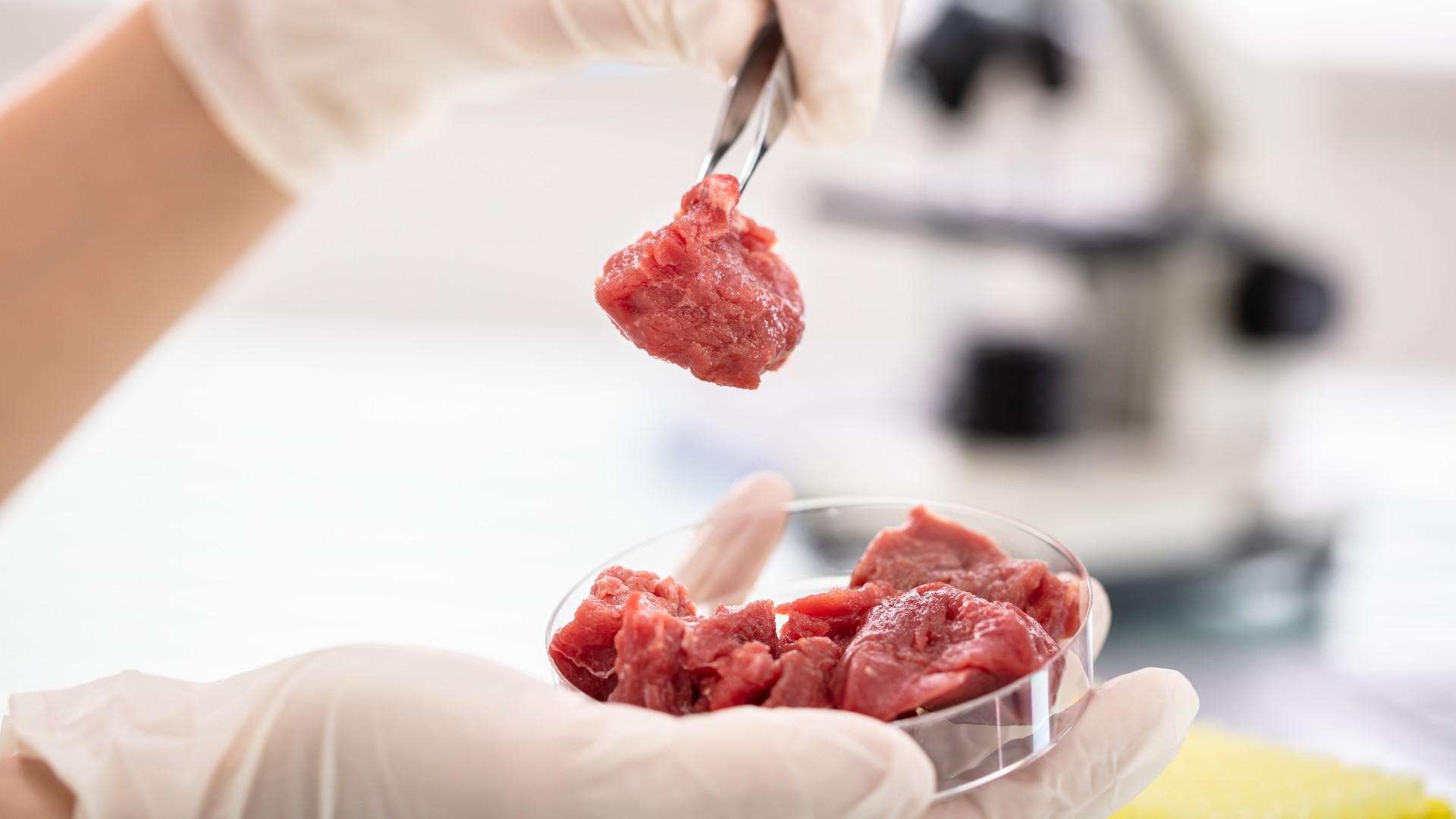 The future of food? Slaughter-free meat (not available for sale yet!) , lab meat