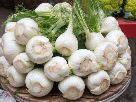 Stack Of Fennel Bulbs