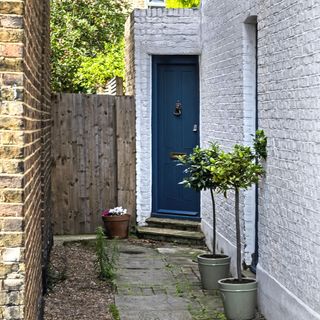 White bricked wall house with plants and blue door