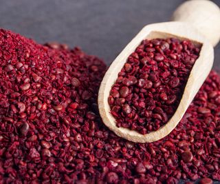 red sumac seeds freshly harvested