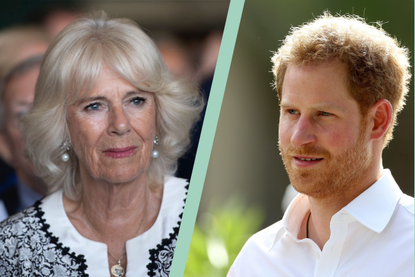 Split screen of Camilla and Prince Harry