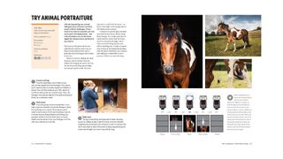 Two pages from the Ultimate Photography Ideas Book, titled 'Try animal portraiture' and explaining how to photograph horses – this new book contains more than 60 photo projects covering a wide range of genres, published by Ilex Press and on sale now