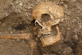 Recent excavations of a viking boat burial revealed the remains of a man.