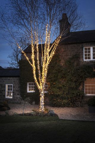 Outdoor tree lighting ideas: fairy lights around tree