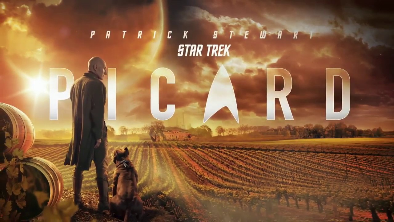 Image result for star trek picard