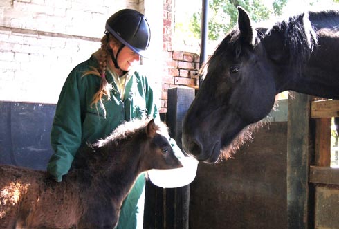 Derek the rescued foal