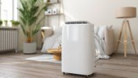 white dehumidifier in living room with wooden floor, cream floor lamp and large plant in white pot