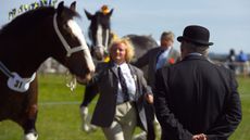 Anglesey-Agricultural-Show-alamy-AP3HED.jpg
