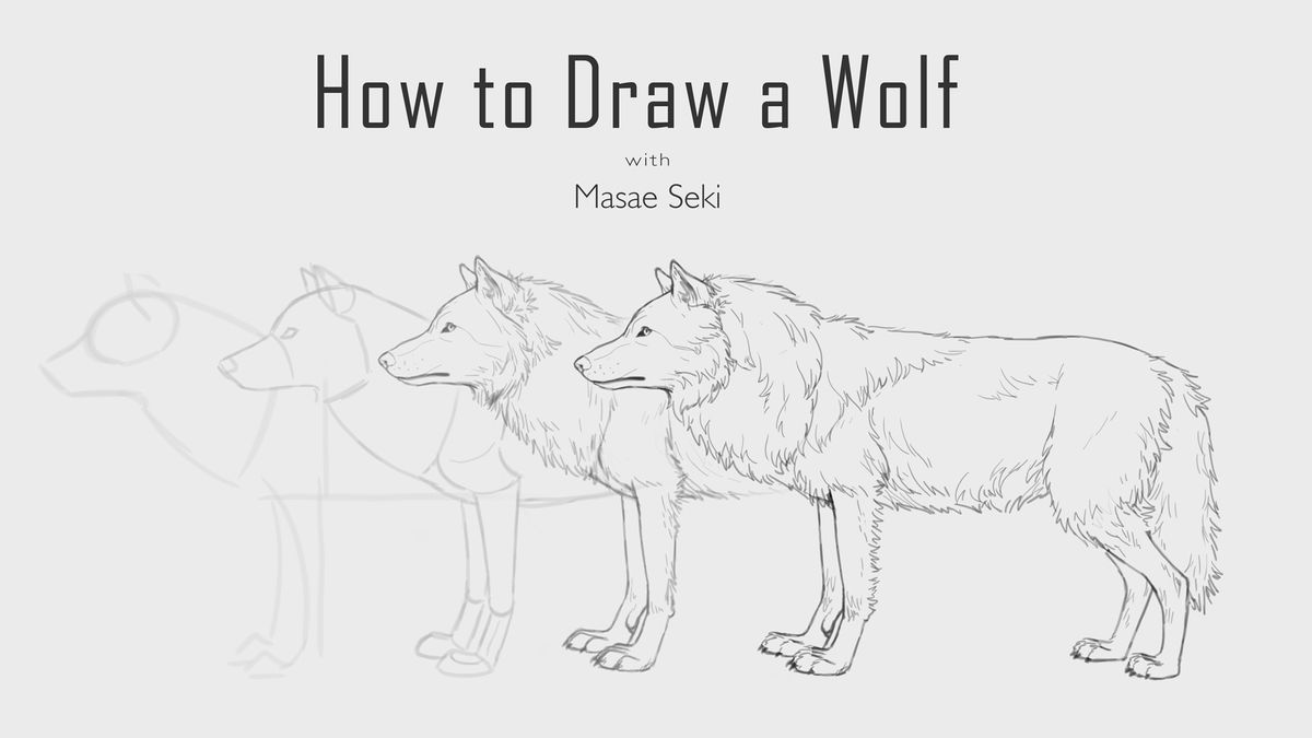 How to Draw a Wolf Face & Head Step by Step - EasyDrawingTips