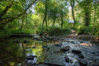 woodland walks