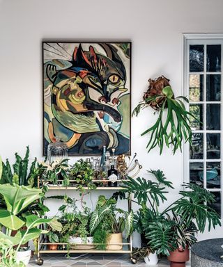 Selection of lush houseplants adorning a bar cart and the surrounding area