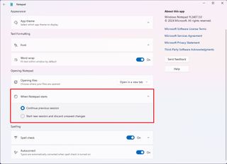 Notepad startup settings