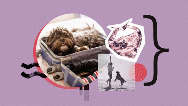 Culture Life News Analysis And Opinion The Week