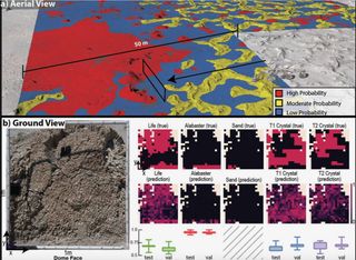 Biosignature probability maps from convolutional neural network models and statistical ecology data. The colors in a) indicate the probability of biosignature detection. In b) is a visible image of a gypsum dome geologic feature (left) with biosignature probability maps for various microhabitats (e.g., sand versus alabaster) within it.