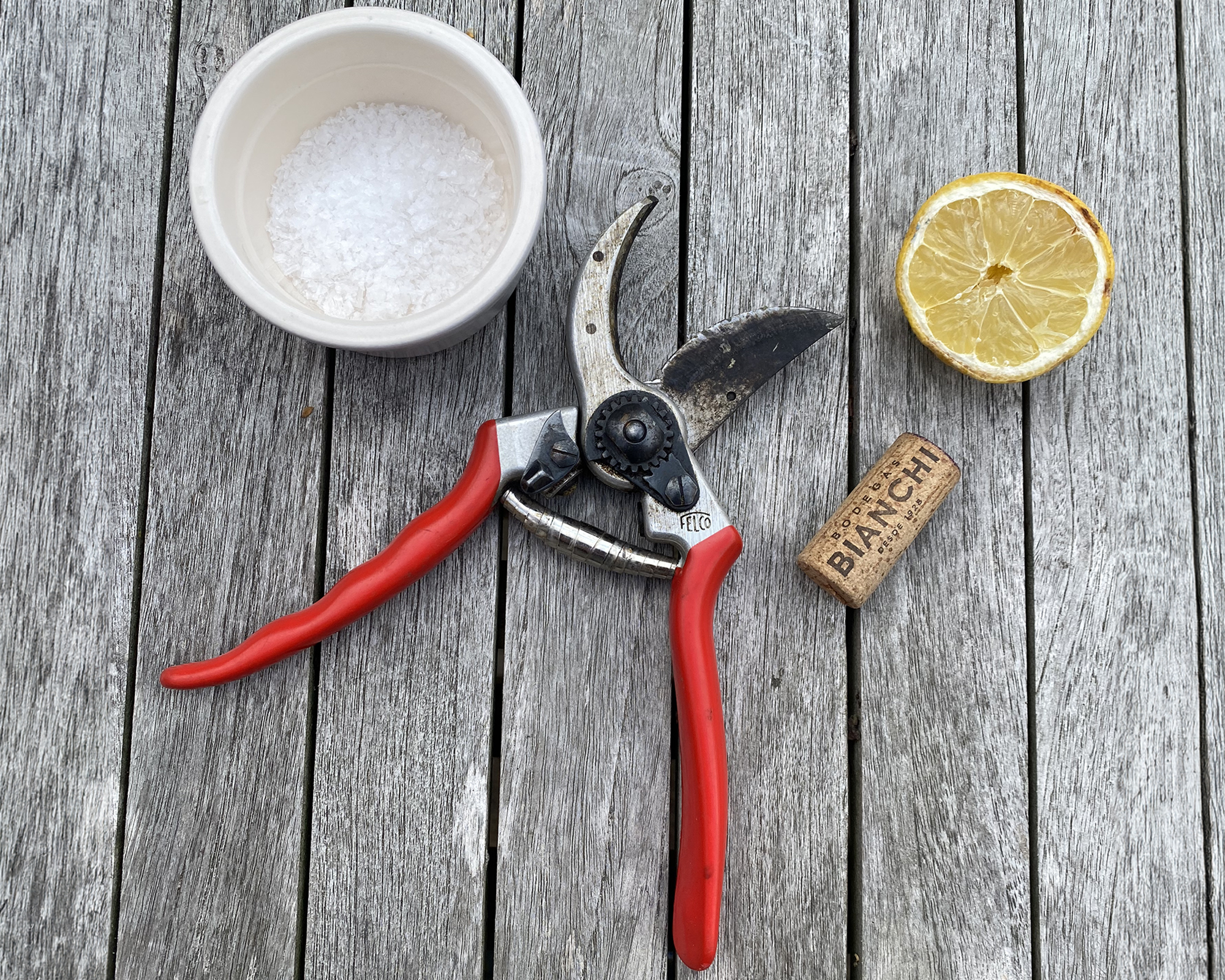 Supplies to clean and sharpen hand pruners with a cork