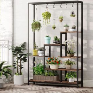 Pacificas Plant Stand