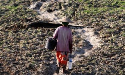 An Indonesian villager walks through a dried-up field affected by a 2009 El Nino weather system: Researchers say El Nino may drive poor countries into civil strife.