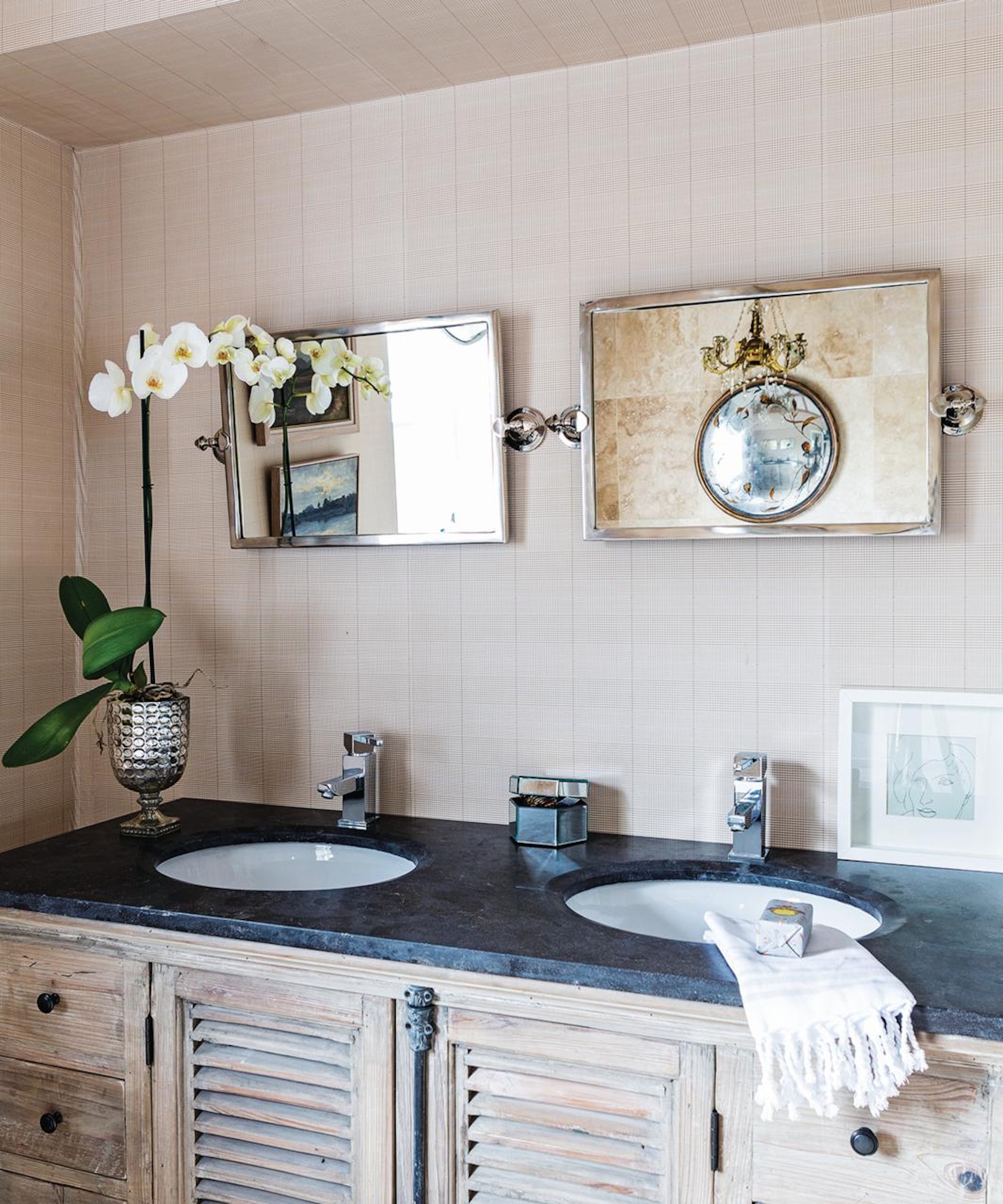 Orchid in bathroom