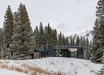 DNA Alpine cabin is a colorado snowy rockies retreat