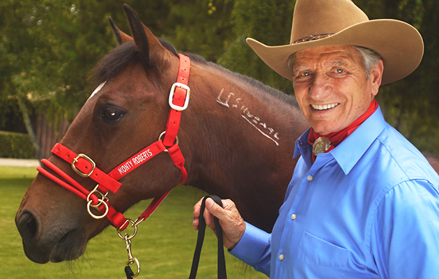 Dually-training-halter.jpg