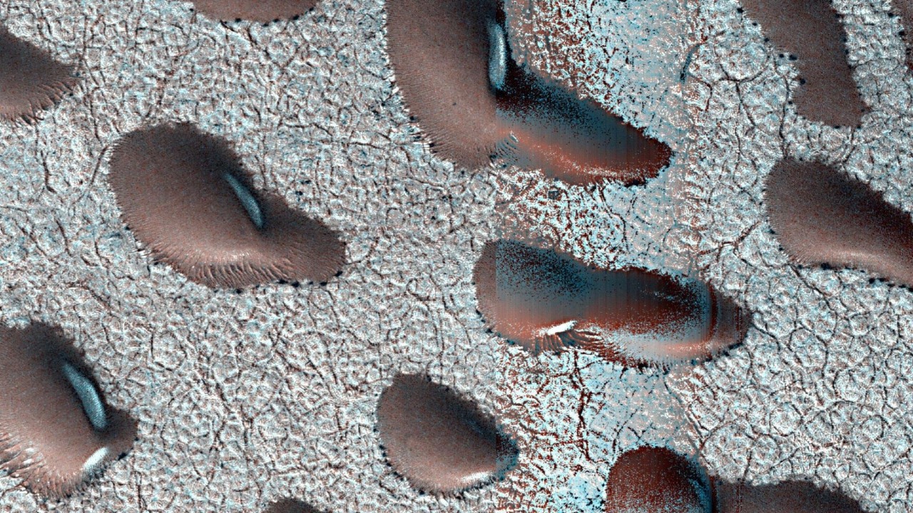 wispy snow stretches across a reddish-brown landscape