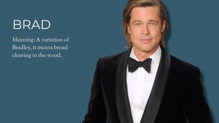 Picture of Brad Pitt beside an explanation of his name