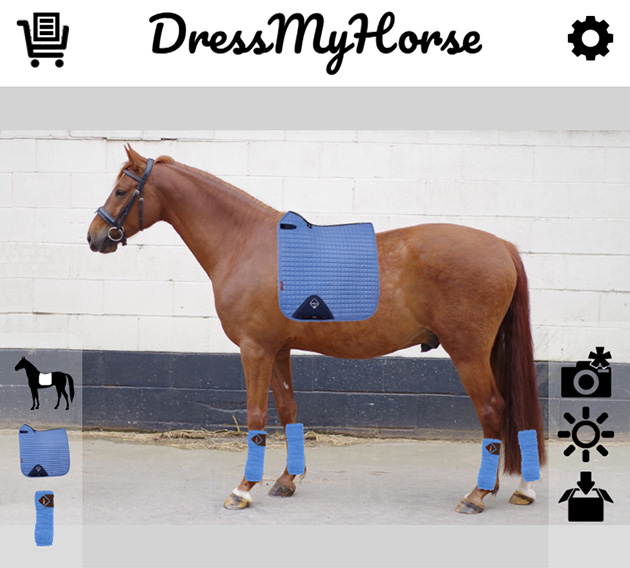 dresshorsetop
