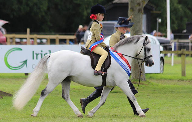 Pretty Polly Heritage M&amp;amp;M champions Wydean Sinatra &amp;amp; Amelia Watson (leader mum Paulette Watson) IMG_2322