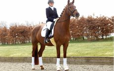 Dressage-Feature-Pic-USE.jpg
