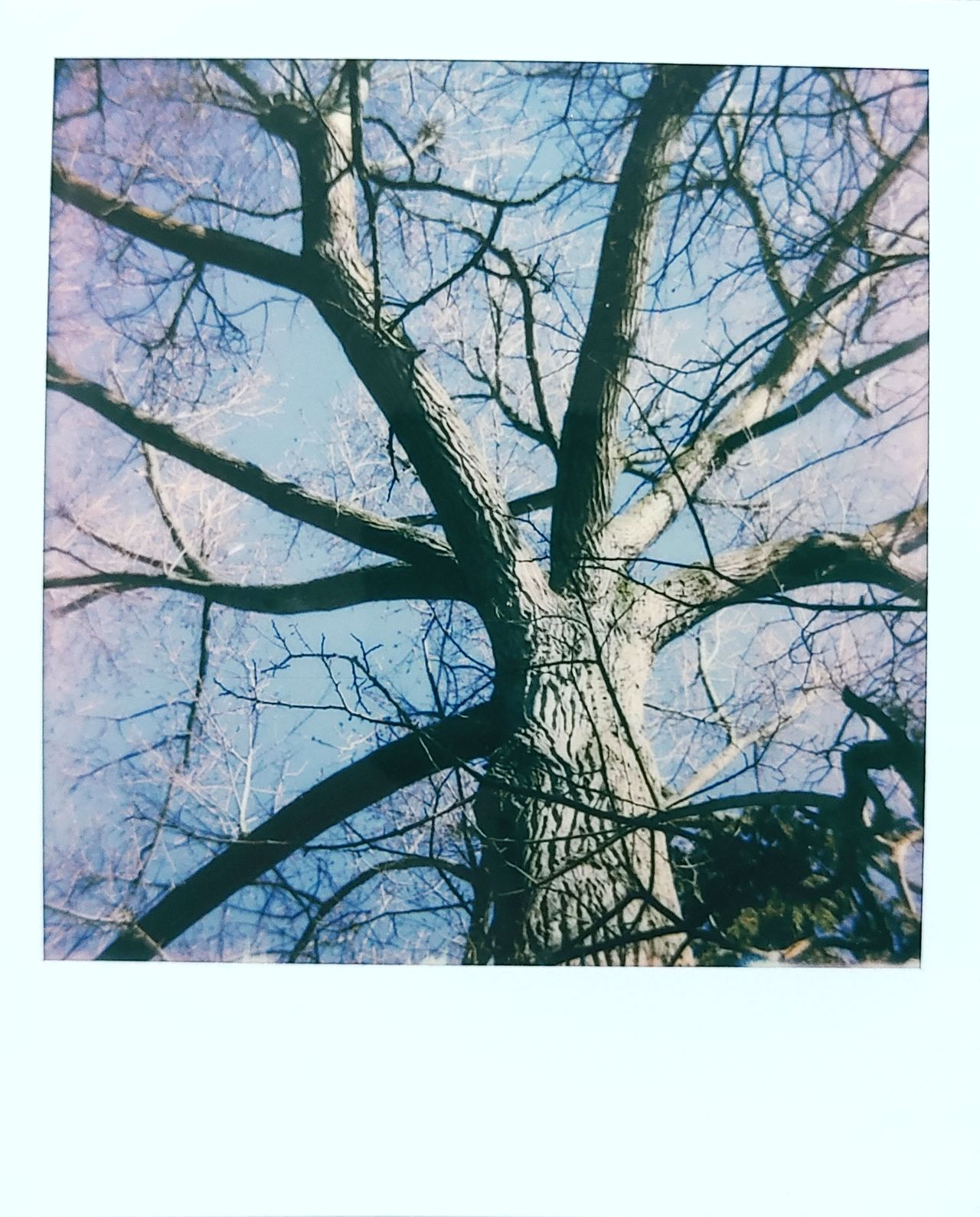 Polaroid Now
