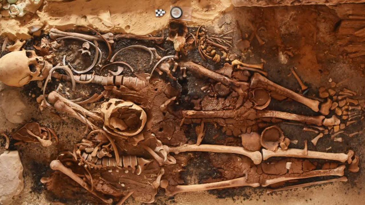 18 ancient Egyptian tombs with dozens of gold 'tongues' discovered along the Mediterranean coast