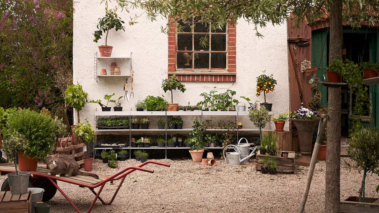 garden storage ideas from string furniture – shelves with plants