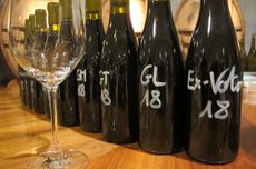 Rhone 2018 en primeur: Tasting at Guigal Cote Rotie