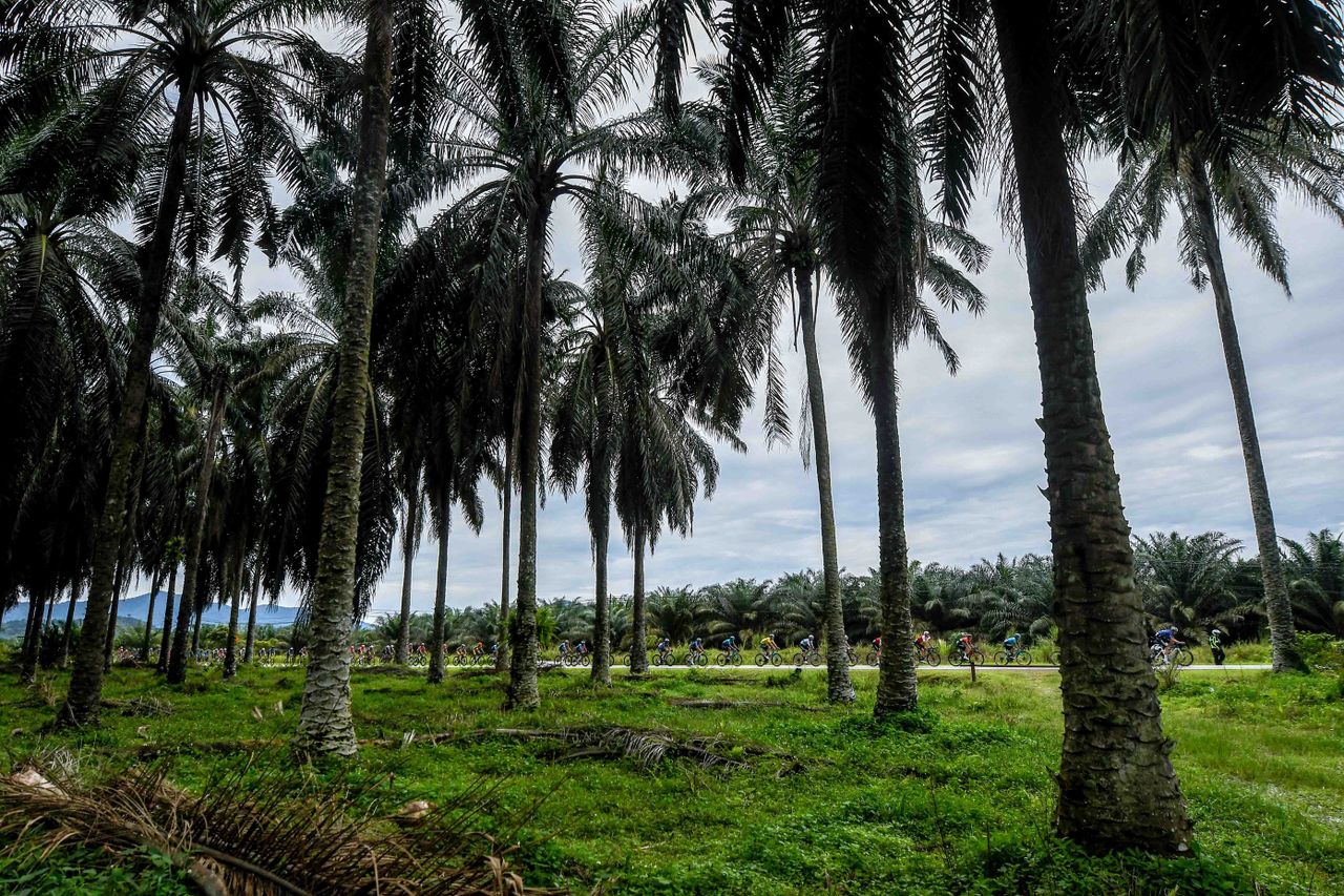 Stage 2 of Le Tour de Langkawi 2022