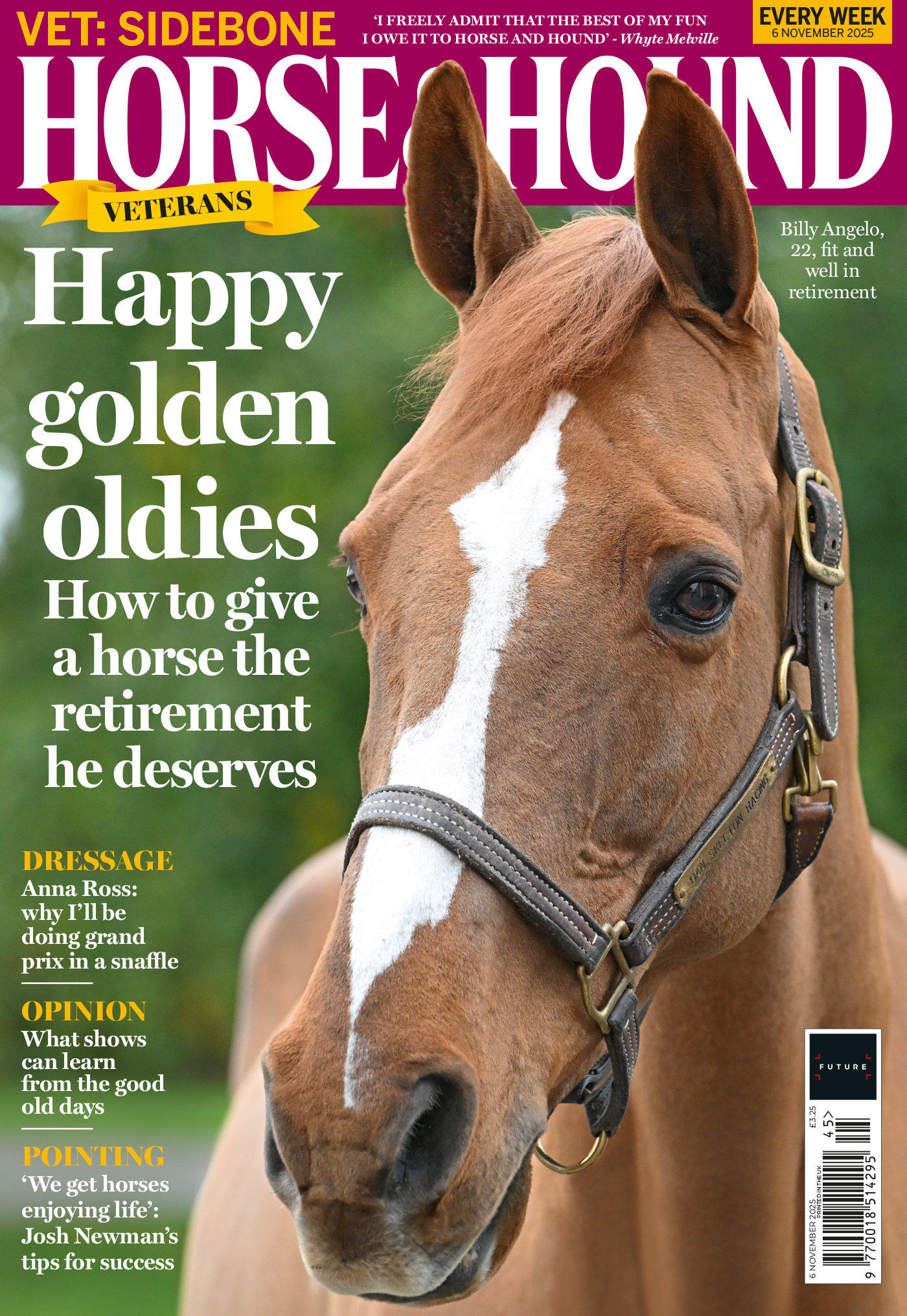 Cover of Horse &amp; Hound magazine featuring a headshot of chestnut gelding, Billy Angelo, on sale 6 November