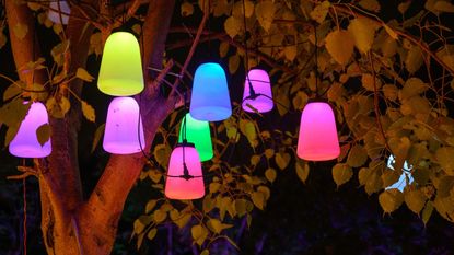 Colorful garden lights in a tree 