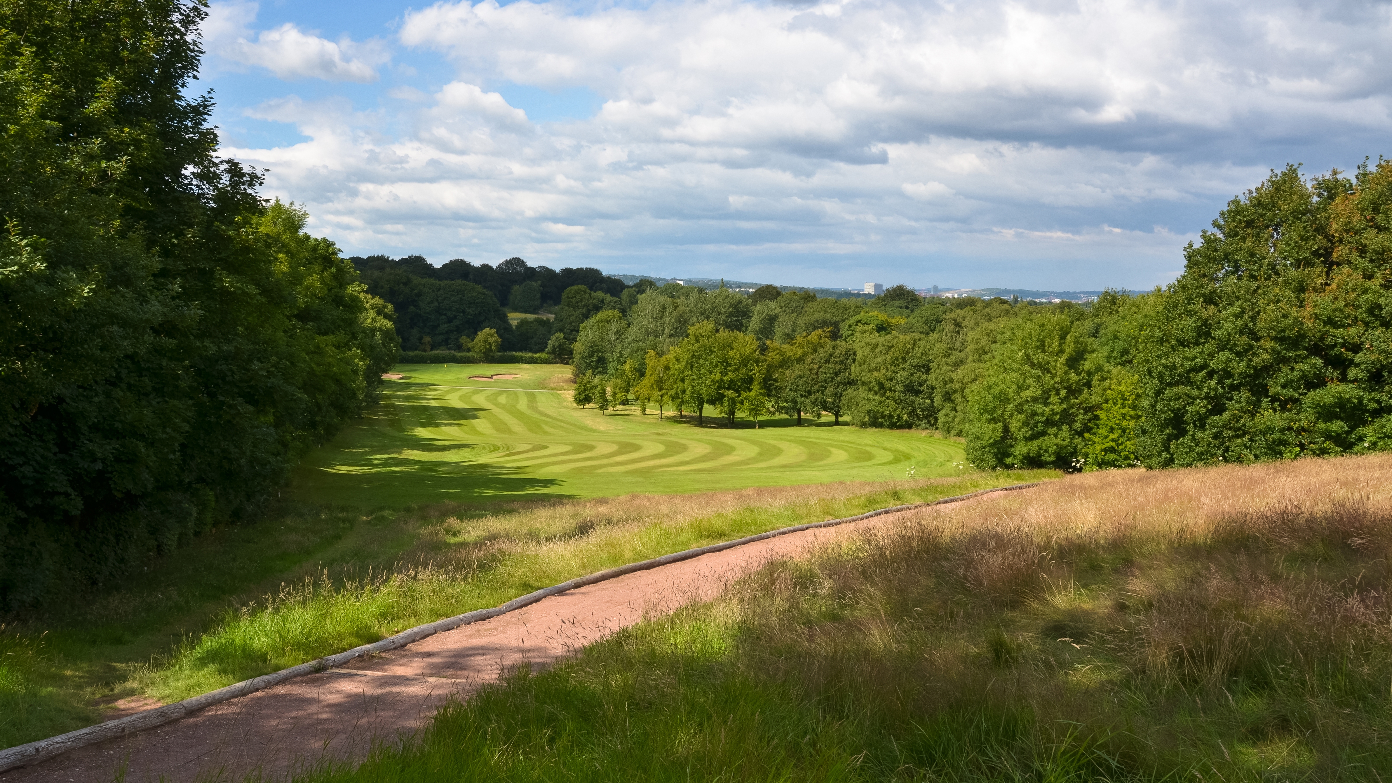 Abbeydale - Hole 8