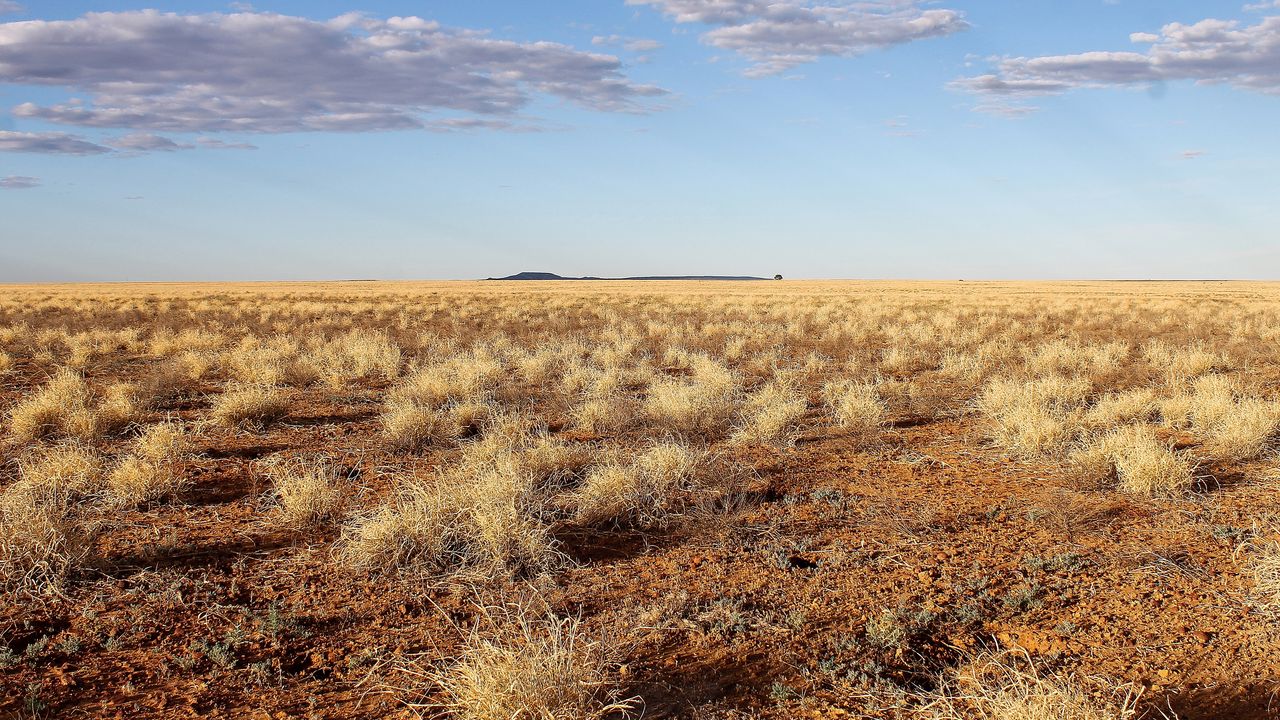 The landscape in "Cooper Country," where Cooper was found.