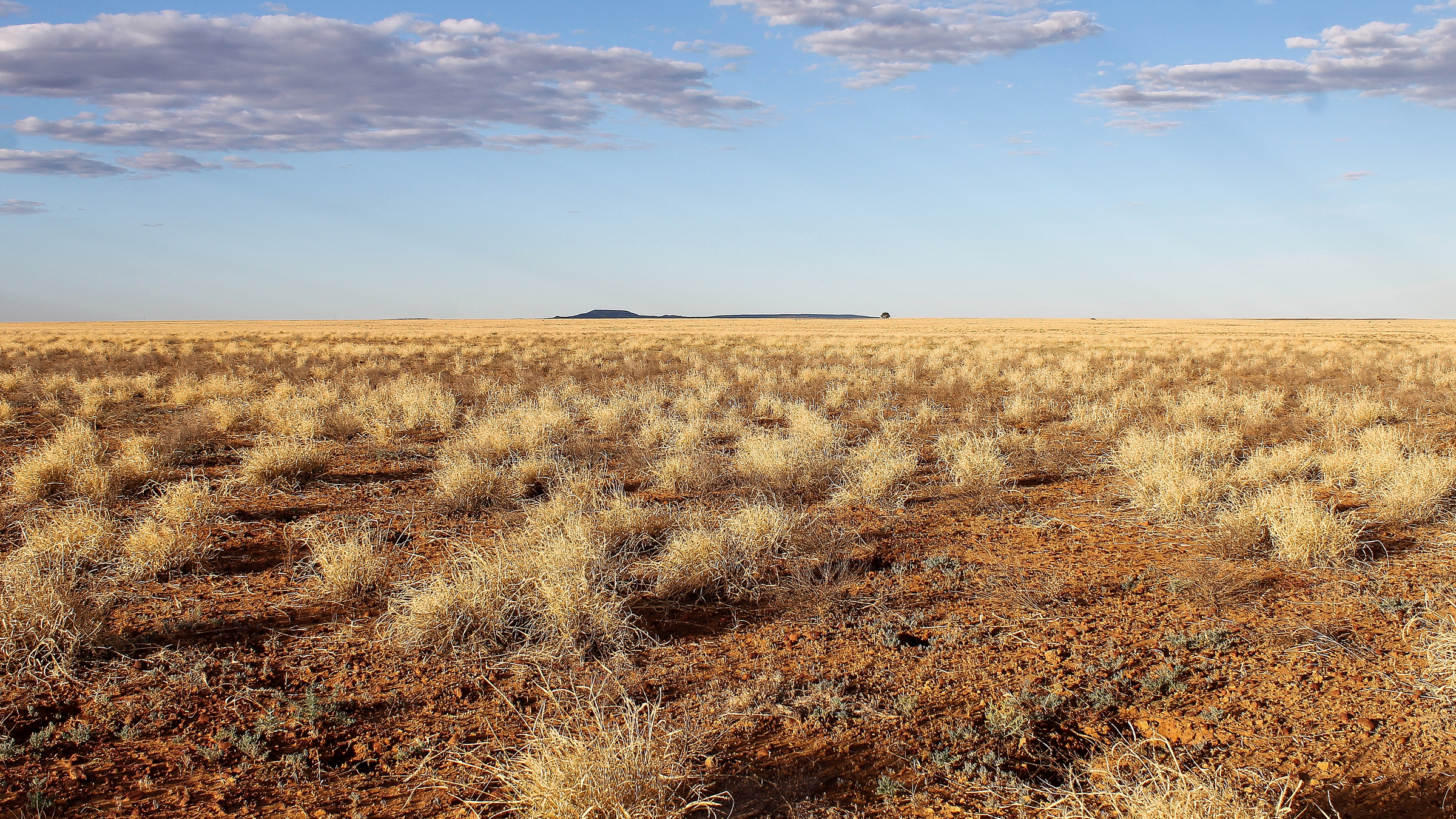 The landscape in "Cooper Country," where Cooper was found.