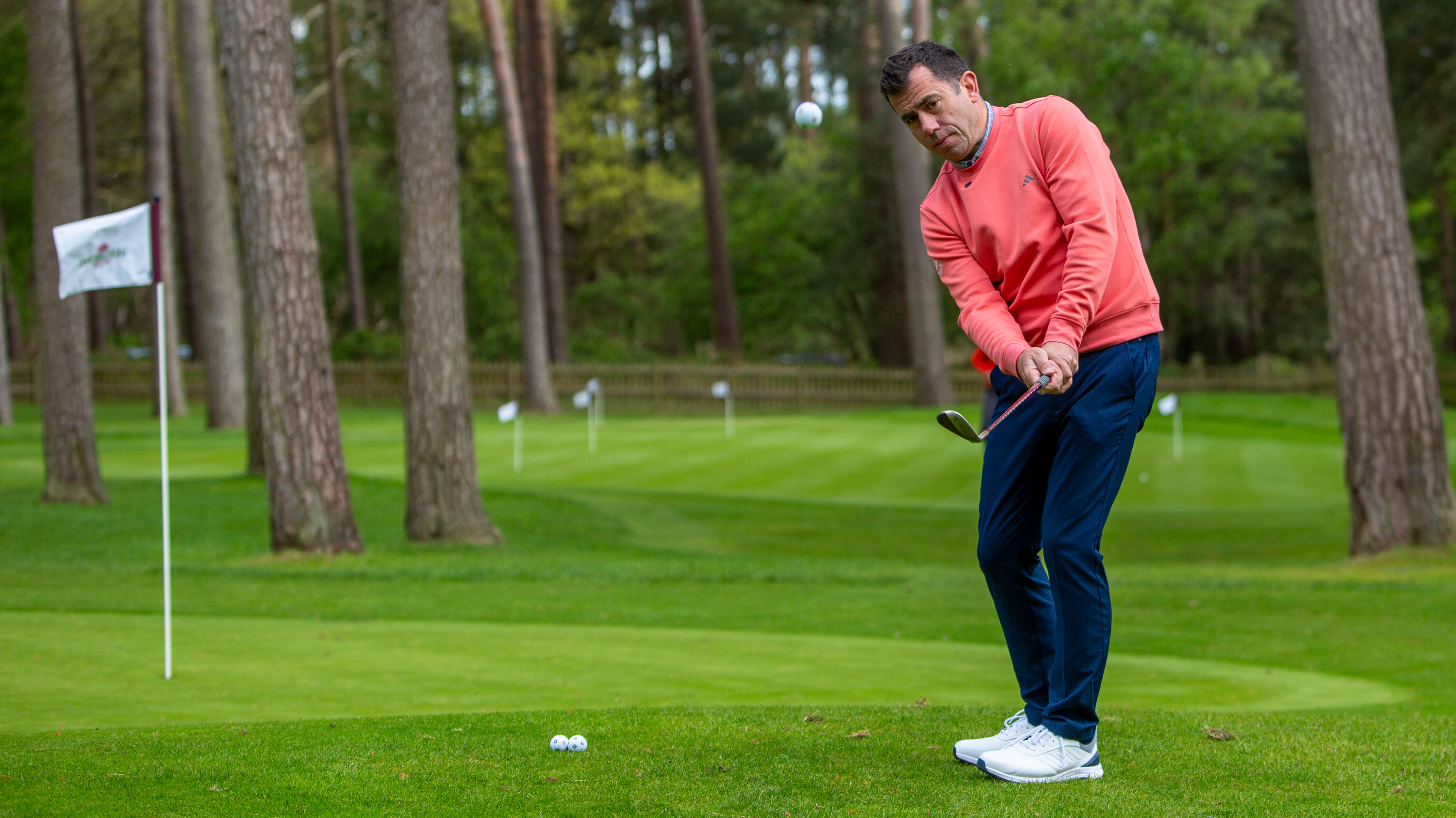 dan grieve chipping