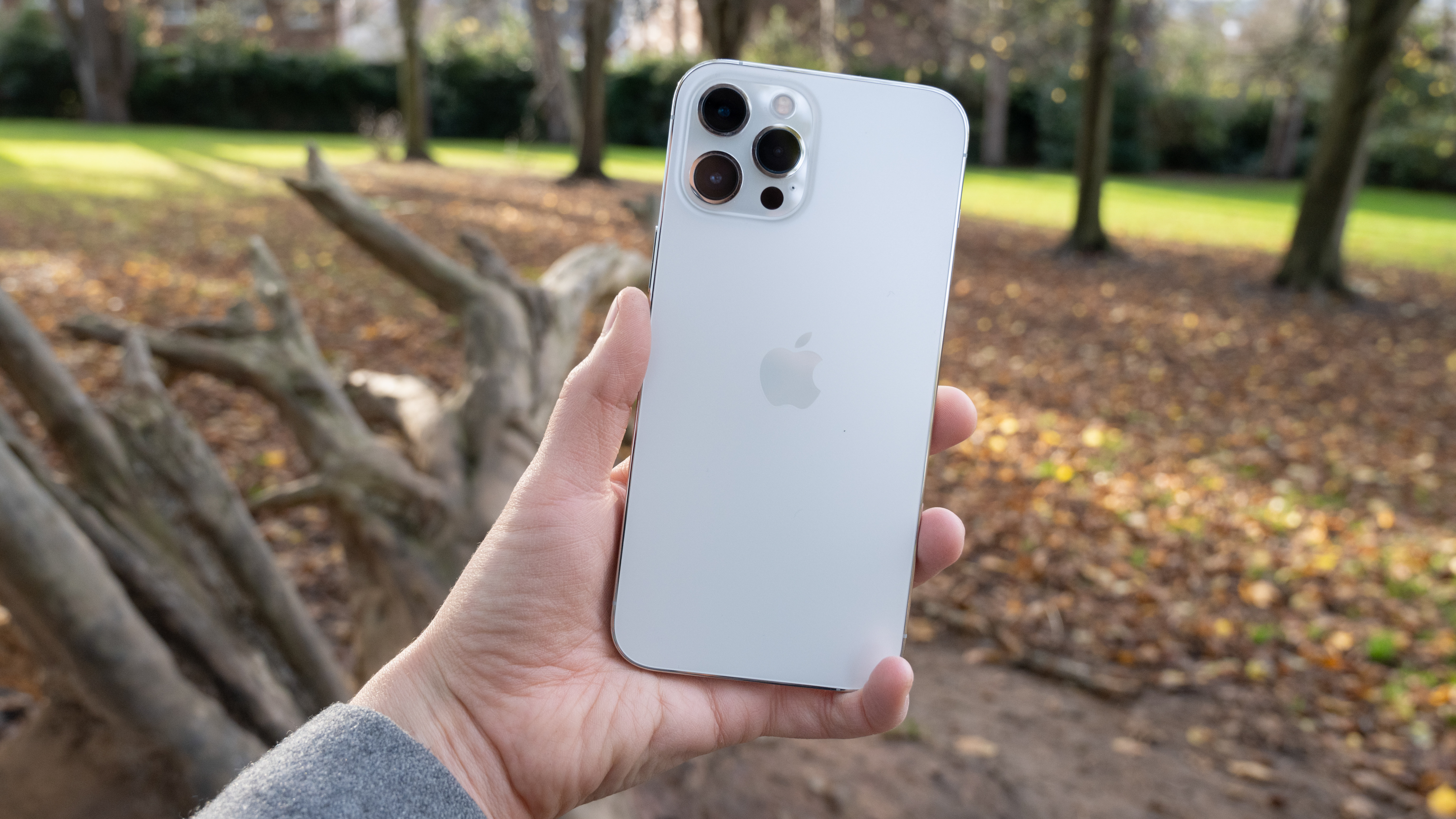 Apple iPhone 12 Pro Max Review: Amazing Camera, Massive Size